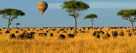 On Safari in Kenya + Tanzania (2025 Itinerary)