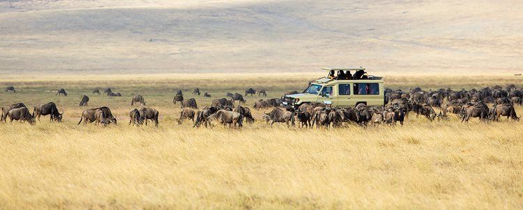 Spectacular Tanzania + the Serengeti