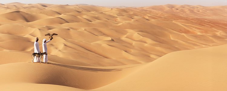 Dubai + Rub’ al Khali Desert + Abu Dhabi