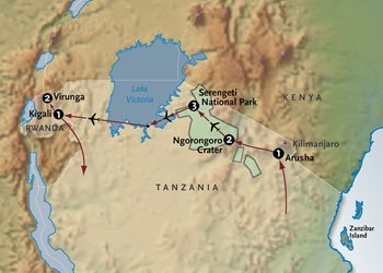 Gorilla Trek in Tanzania