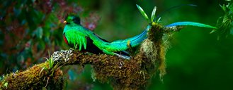 Costa Rica Mountains to Sea