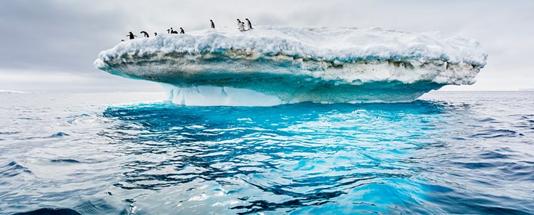 Crossing the Antarctic Circle aboard the <i>Ocean Albatros</i>