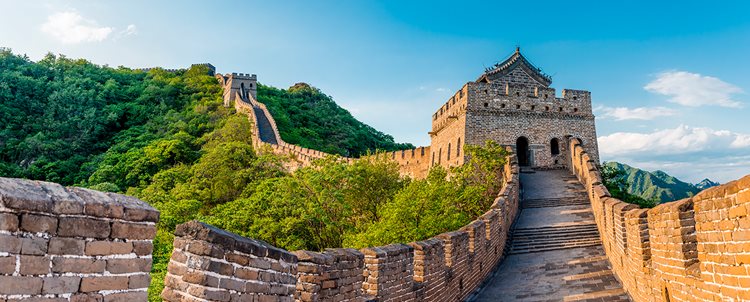 Vintage China In-Style