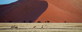 Sossusvlei