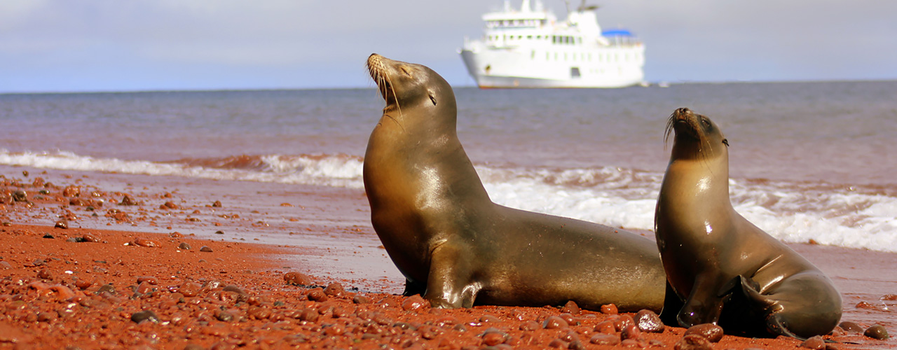 Alexander And Roberts Machu Picchu The Galapagos Cruise 2024   20 Quito Galapagos MainPic .aspx