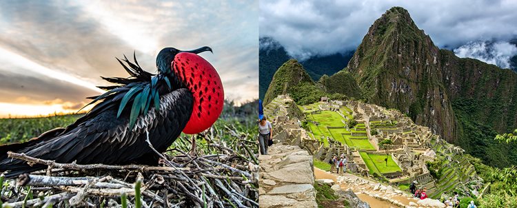 Galapagos by Land + Peru Explorer