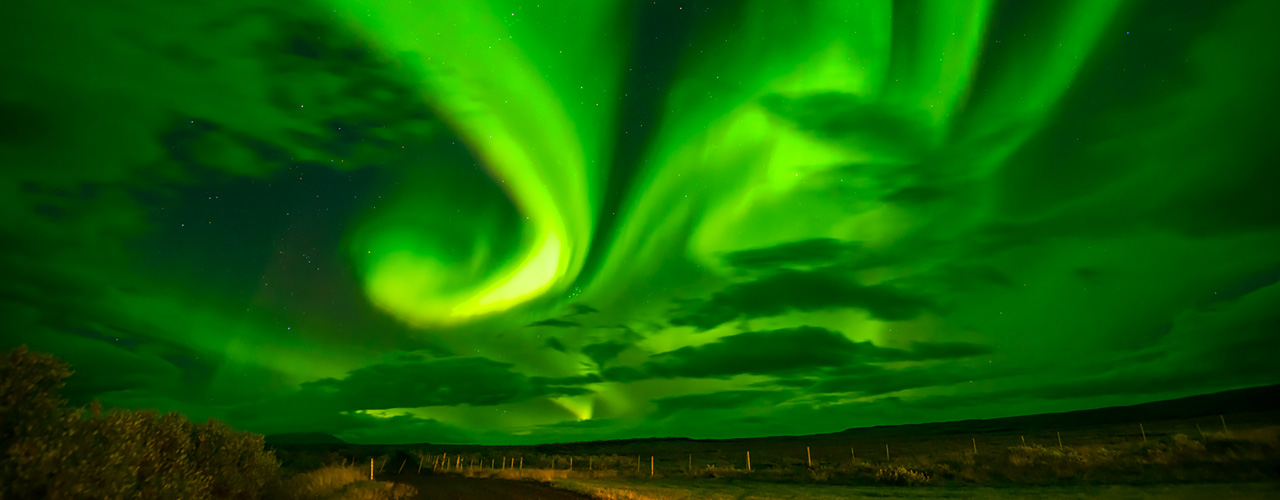 Northern Galapagos Cruise + Quito