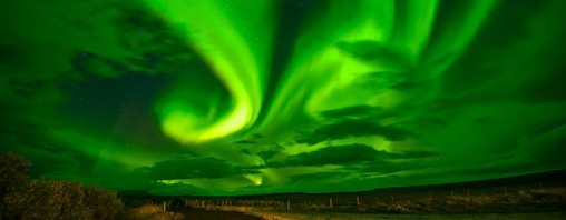 Flight Information Form