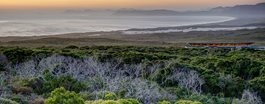 Grootbos Nature Reserve