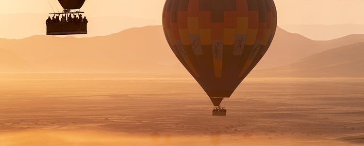 Ultimate Southern Africa<br>Hosted by Scott and Diane Avera